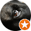 User profile